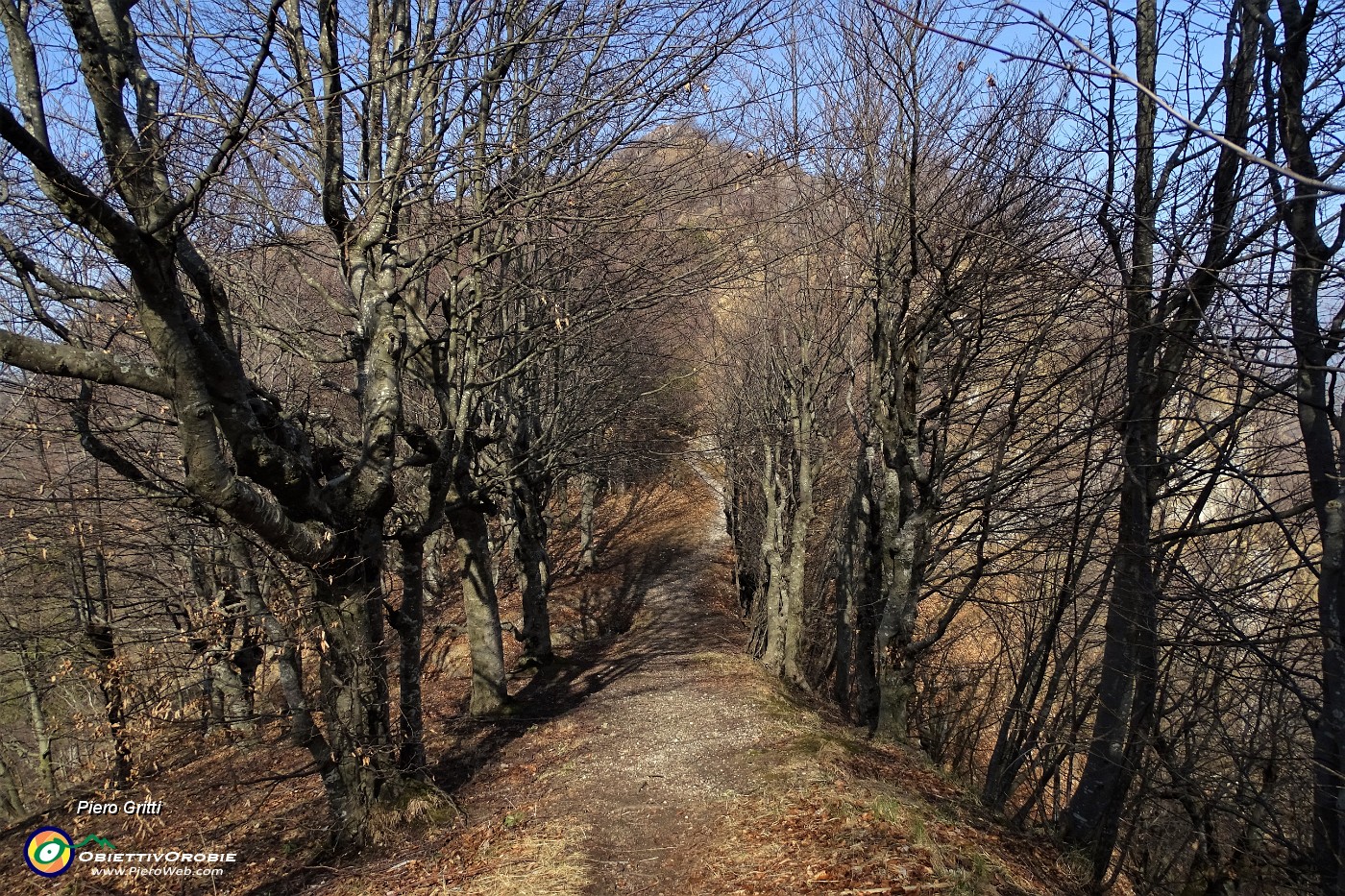 36 'Viale' dal Roccolo al Forcolino.JPG